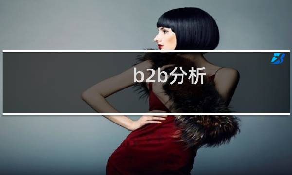 b2b分析