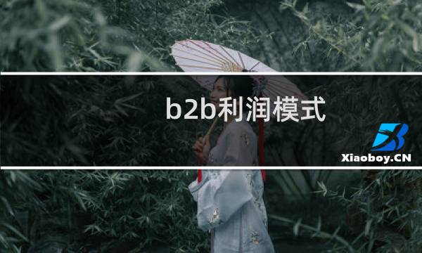 b2b利润模式