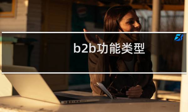 b2b功能类型