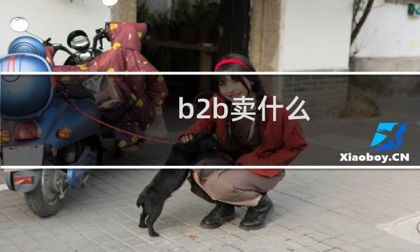b2b卖什么