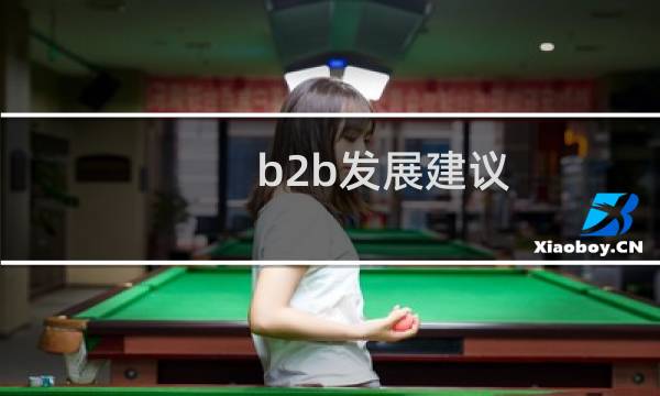 b2b发展建议