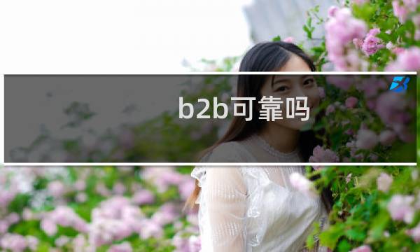 b2b可靠吗