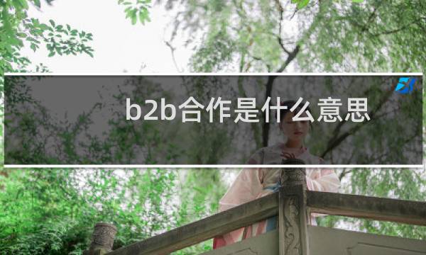 b2b合作是什么意思