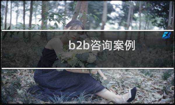 b2b咨询案例