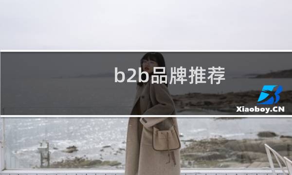 b2b品牌推荐
