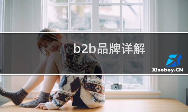 b2b品牌详解
