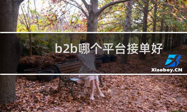 b2b哪个平台接单好