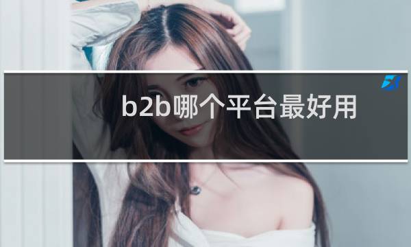 b2b哪个平台最好用