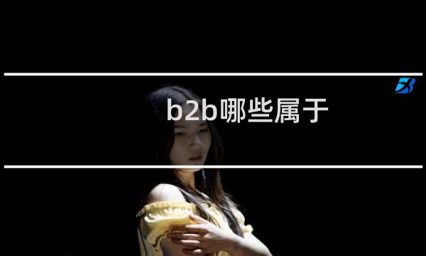 b2b哪些属于