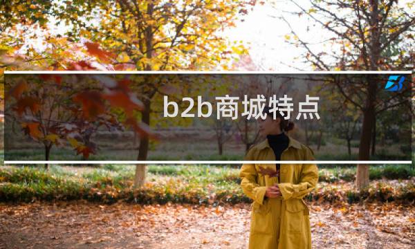 b2b商城特点