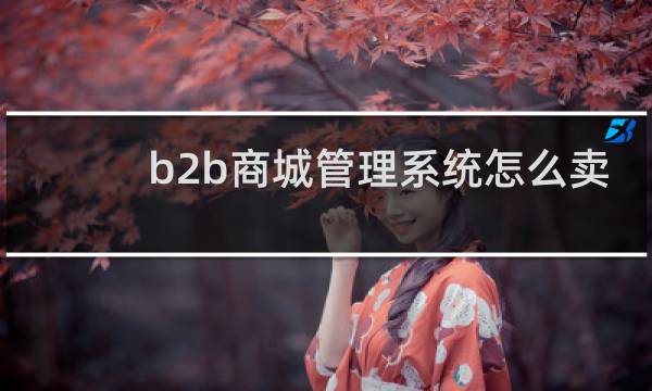b2b商城管理系统怎么卖