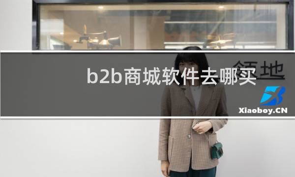 b2b商城软件去哪买
