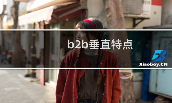 b2b垂直特点