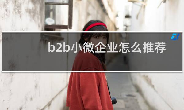 b2b小微企业怎么推荐
