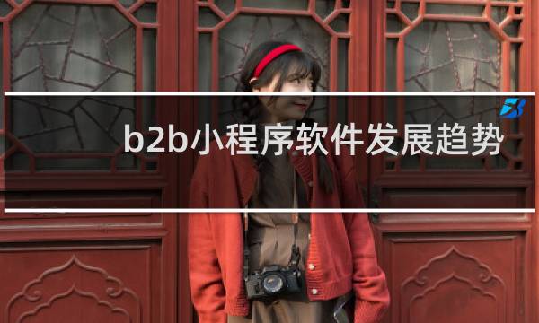 b2b小程序软件发展趋势