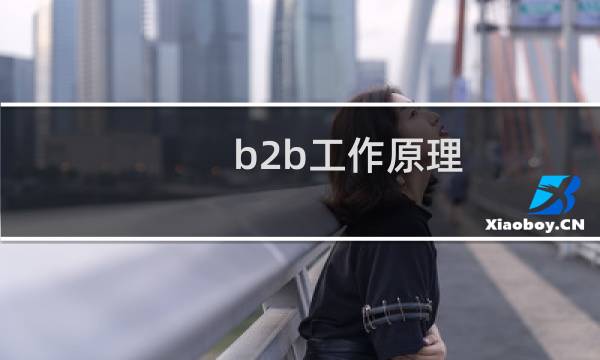 b2b工作原理