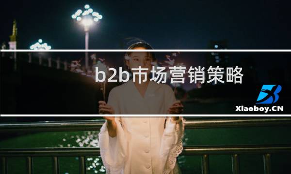 b2b市场营销策略