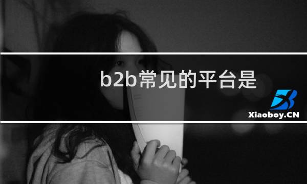 b2b常见的平台是