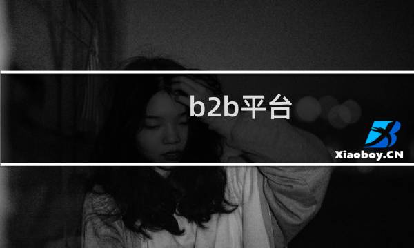 b2b平台 例子