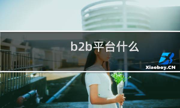 b2b平台什么
