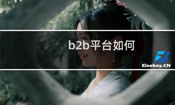 b2b平台如何