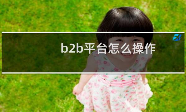 b2b平台怎么操作