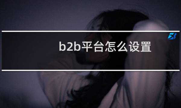 b2b平台怎么设置