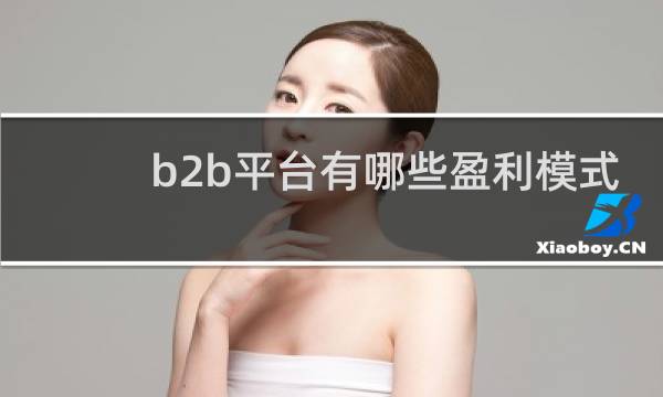 b2b平台有哪些盈利模式