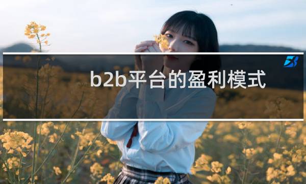 b2b平台的盈利模式