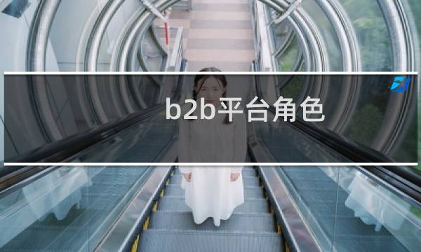 b2b平台角色