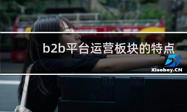 b2b平台运营板块的特点