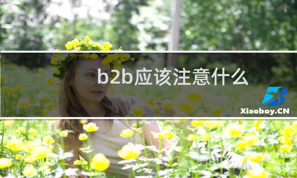 b2b应该注意什么