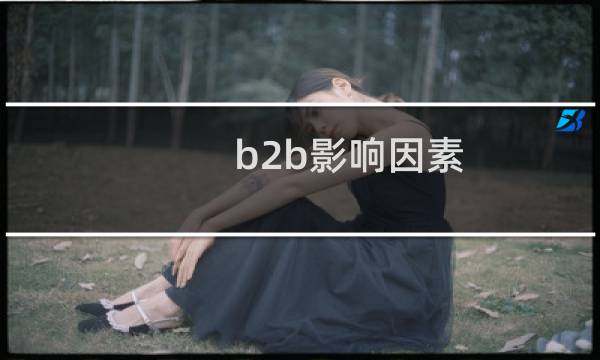 b2b影响因素