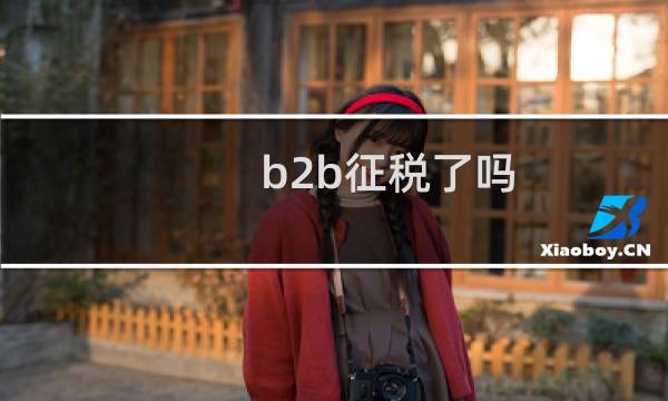 b2b征税了吗