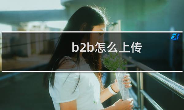 b2b怎么上传