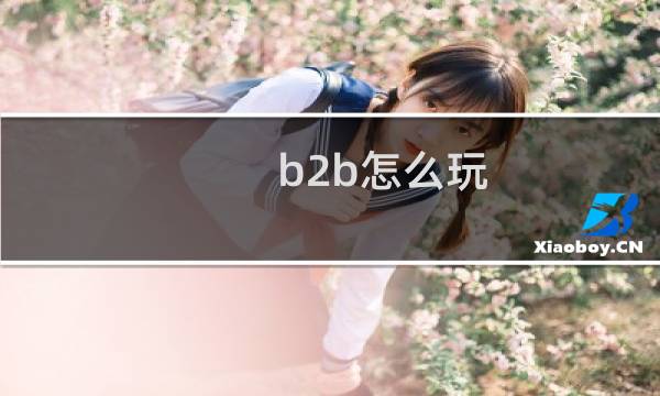 b2b怎么玩
