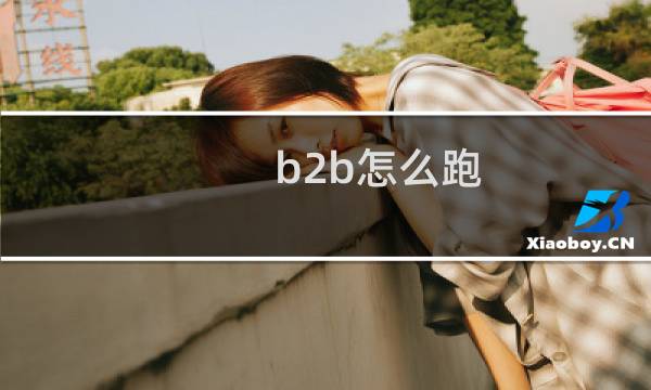 b2b怎么跑