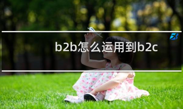 b2b怎么运用到b2c