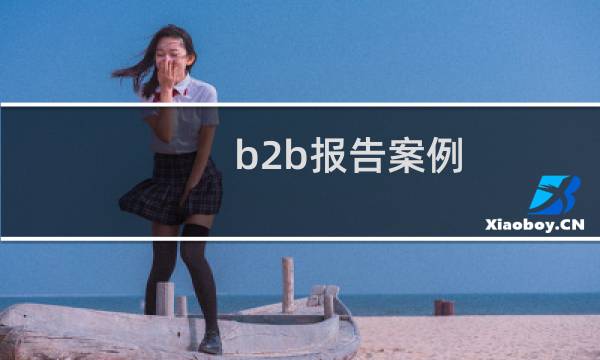 b2b报告案例