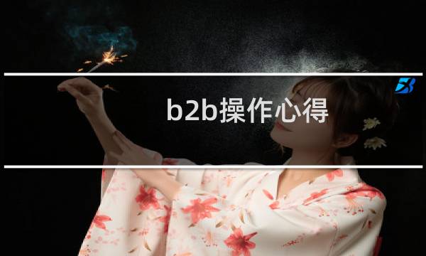 b2b操作心得