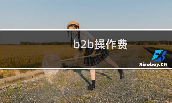 b2b操作费