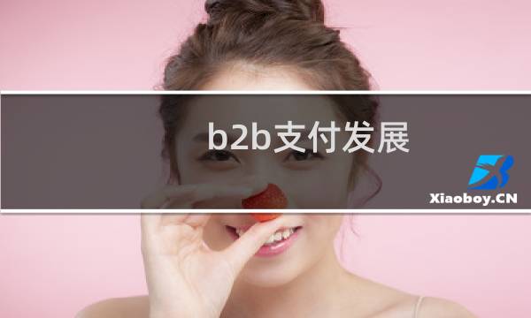 b2b支付发展