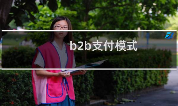 b2b支付模式