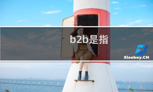 b2b是指(   )