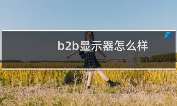 b2b显示器怎么样