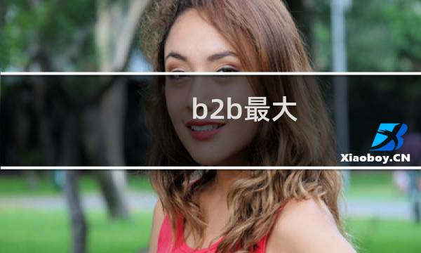 b2b最大