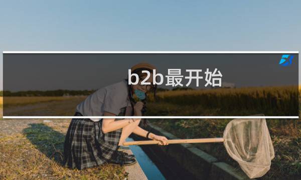 b2b最开始