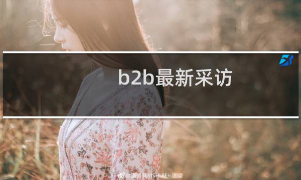 b2b最新采访