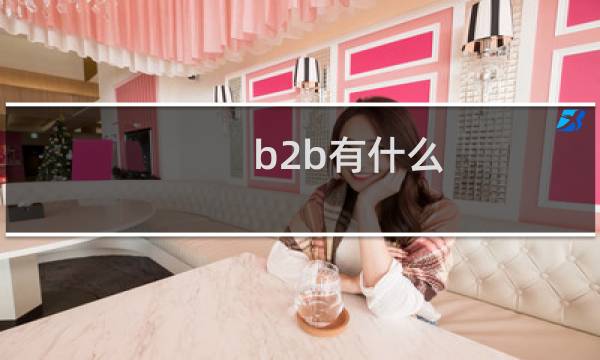b2b有什么
