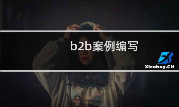 b2b案例编写